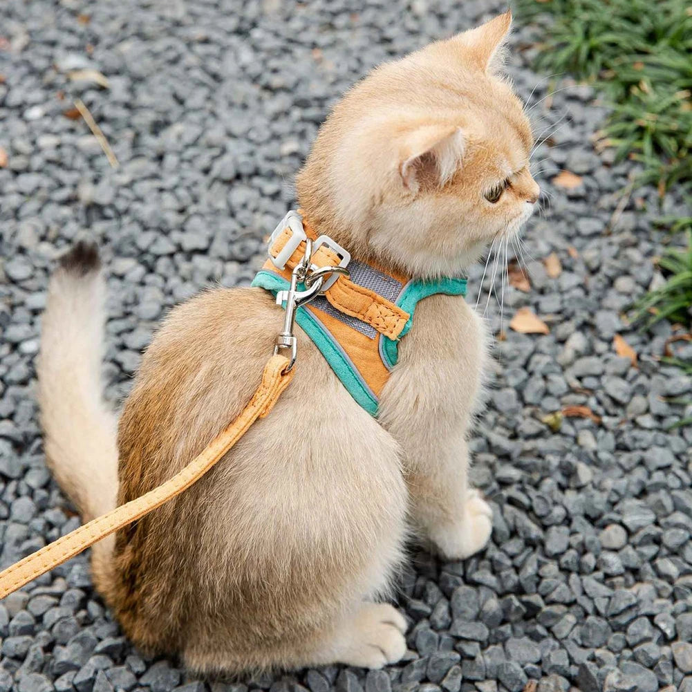 Córde™ - Cat Leash