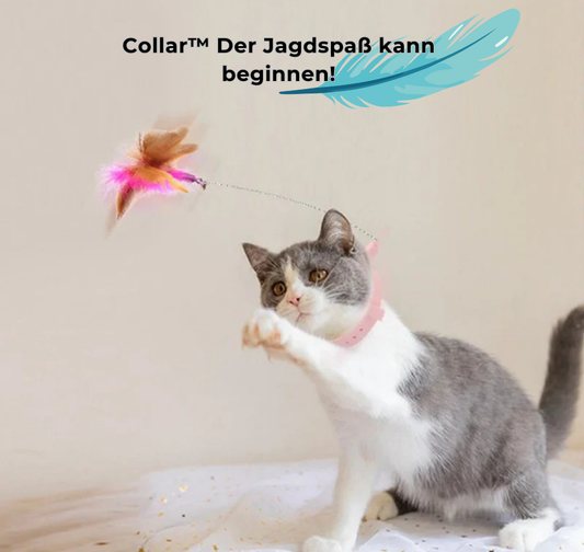 Collar™ - Katzenspielzeug