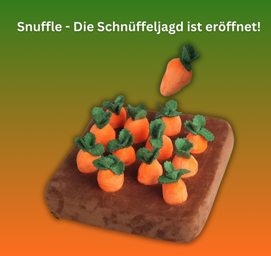 Snuffle - interaktives füttern