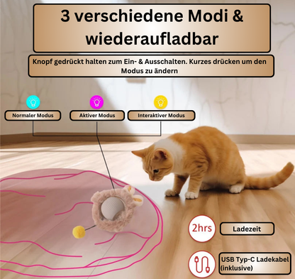 Lumina - Versteckspiel für Katzen