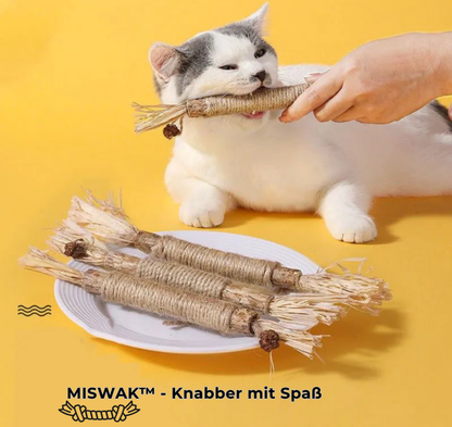 MISWAK™ - Minzknabberstange