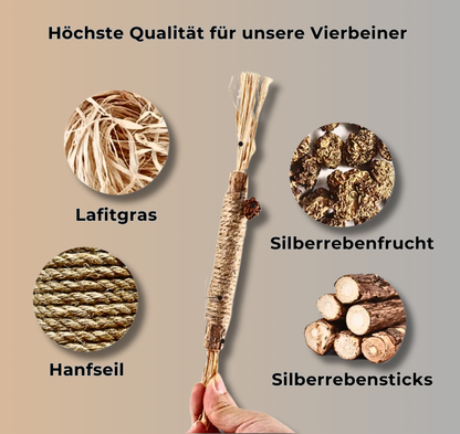 MISWAK™ - Minzknabberstange