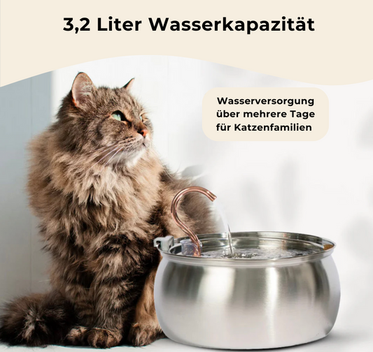 PetPaw™ - Edelstahl Trinkbrunnen