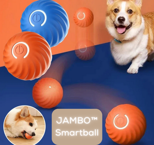 JAMBO™ - Smartball