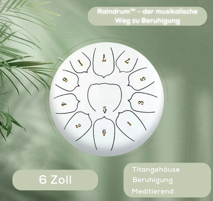 Raindrum™ - 6 Zoll Regeninstrument